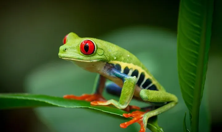 Natura Eco Park Admission