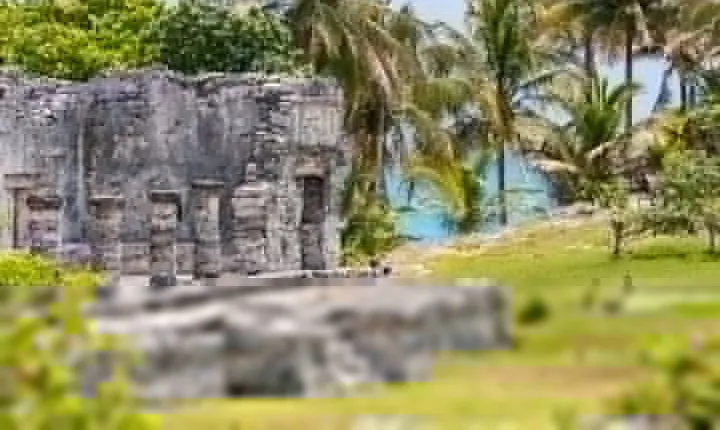 Magical adventure to Tulum, a giant sculpture and cenotes. Lunch included