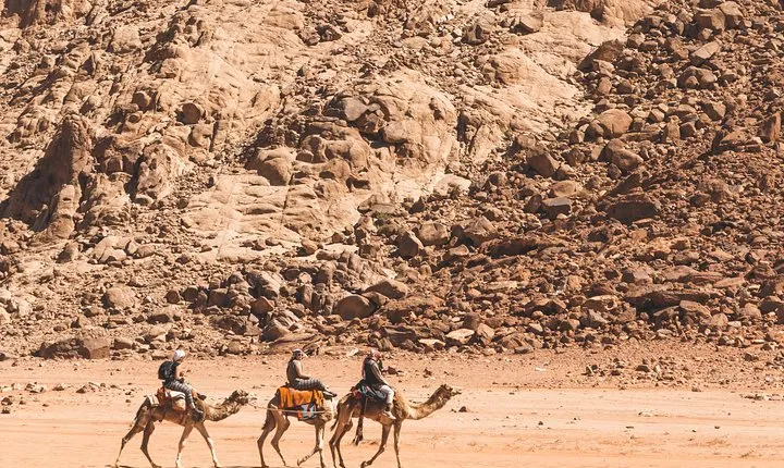 Wadi Rum: Camel Trek Adventure