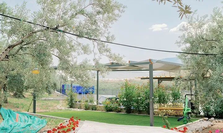 Olive Oil Tasting Tour with Corinth Canal Stop