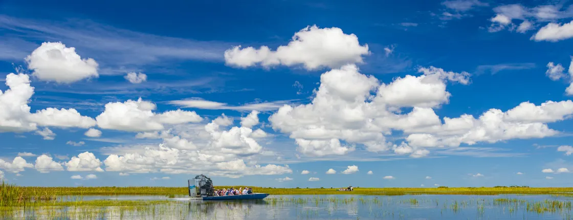 Everglades National Park full-day tour with round-trip transfer