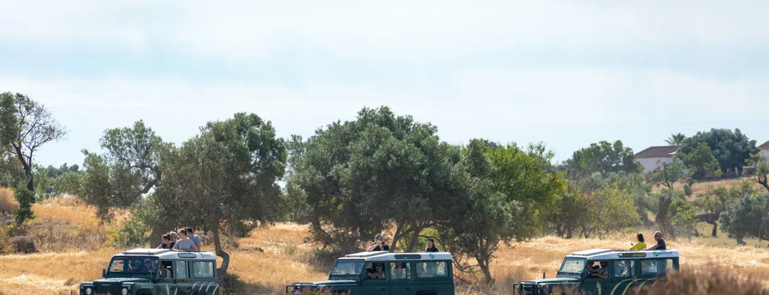 Guadiana Nature Safari Half-day Tour