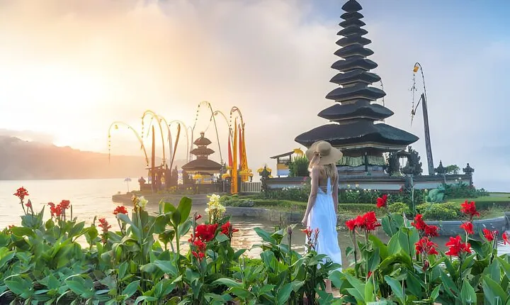 Bali Explorer: Tailored Adventures with Private Driver