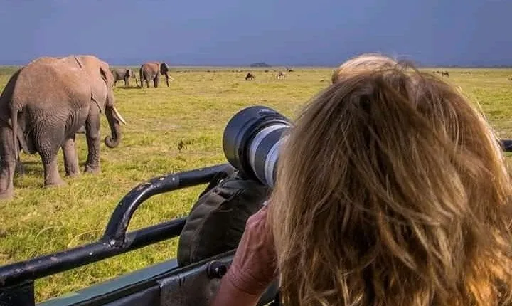 Victoria Falls to Chobe Park Day Tour Plus Boat Ride !
