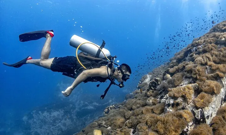 Basic Diver ( One Day Experience)