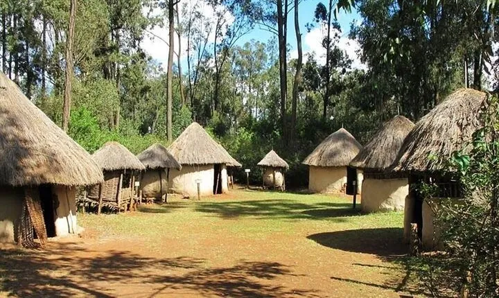 Nairobi City Tour and Afternoon Visit to Bomas of Kenya