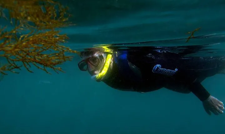 Kayak and Snorkeling Adventure in Arrabida