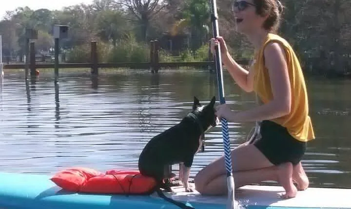 Paddle with Pups in Paradise - Paddleboard or Kayak