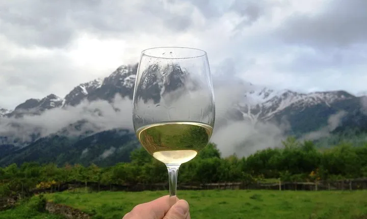 Wine Tour in Mtskheta Region (Day Tour)