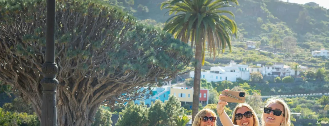 Full-day guided northwest Tenerife hidden secrets tour with transport