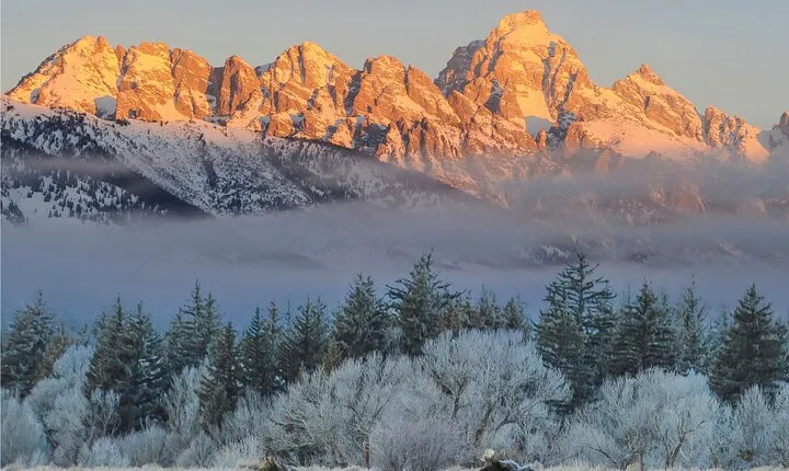 Private Grand Teton Winter Wildlife Safari with Picnic Lunch
