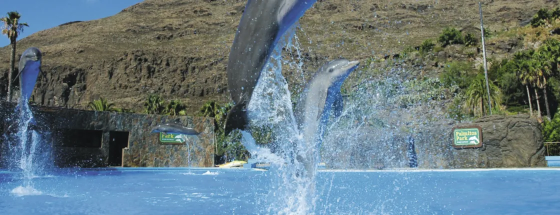 Palmitos Park Ticket