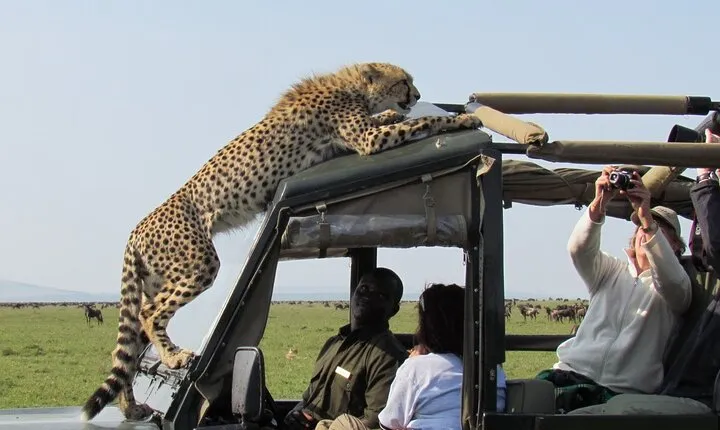 5 Day Kenya Adventure Safari on 4x4 Land Cruiser Jeep