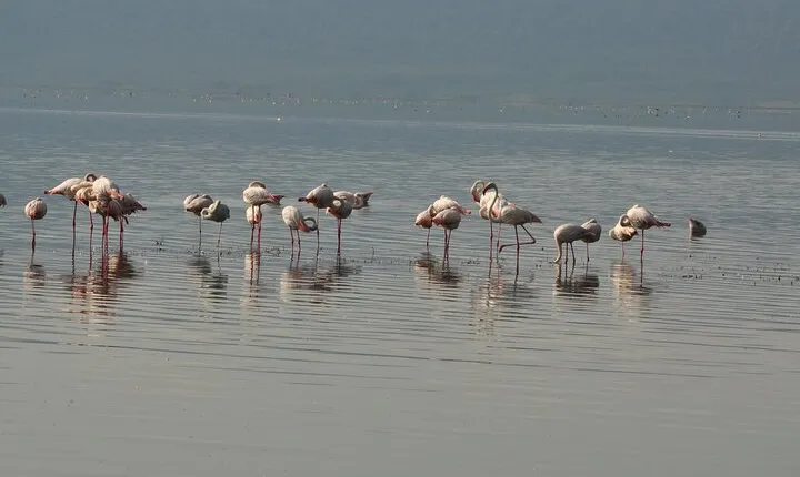 Full day Private Arusha National Park Tour