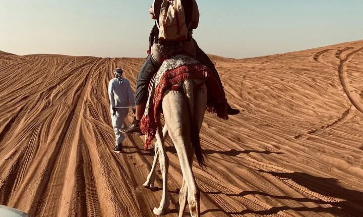 Exclusive Evening Desert Safari