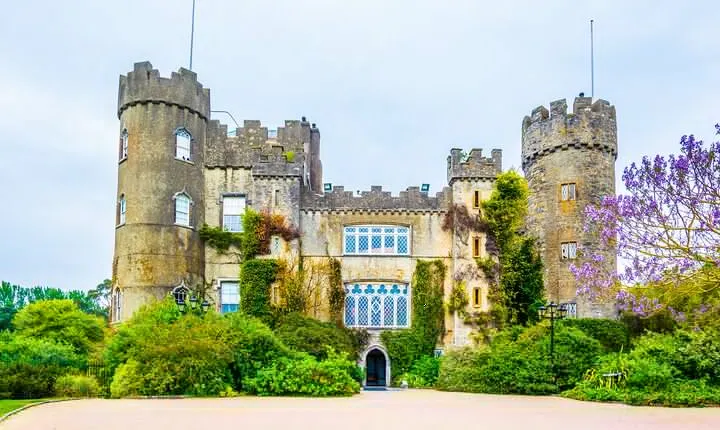 Dublin to Malahide Castle & Gardens Half-Day Trip by Car