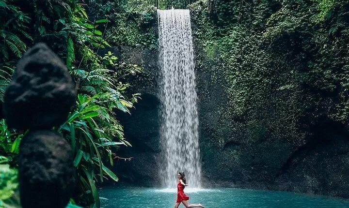 Ubud Hidden Gems Waterfall, Temple and Rice Terraces Private Tour