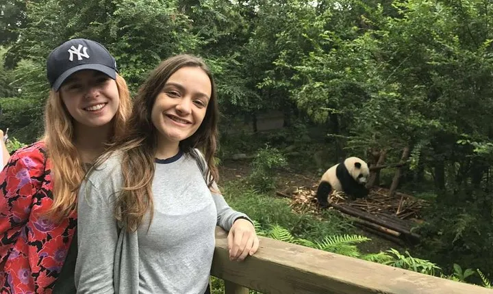 Chengdu Discovery: Panda Base and Giant Buddha Day Trip