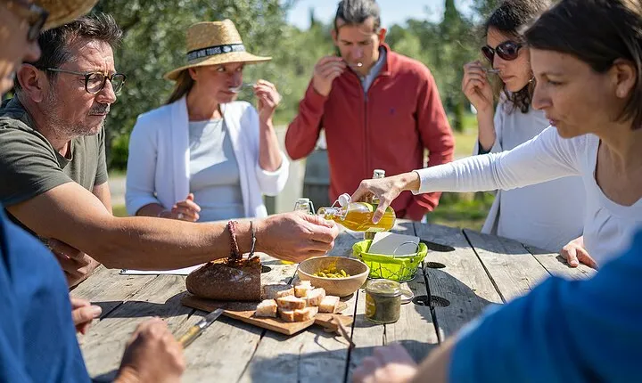Small-Group Half-Day Languedoc Wine and Olive Tour from Montpellier