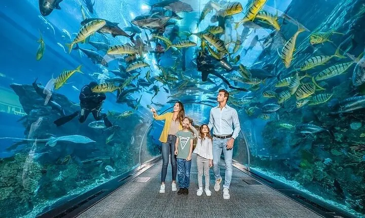 Dubai Mall Aquarium and Underwater Zoo Tickets With Transfers