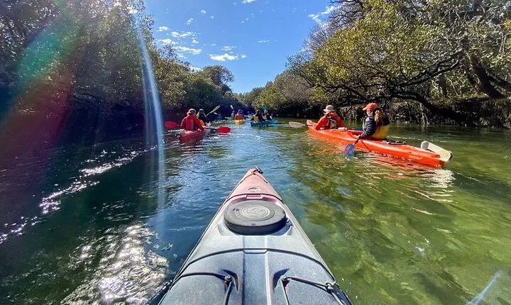 Adelaide Dolphin Sanctuary and Ships Graveyard Kayak Tour