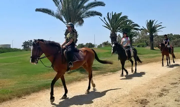 Horseback riding with private transfer