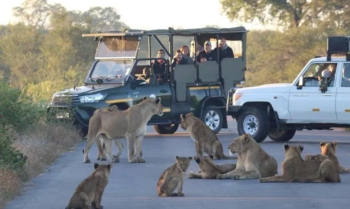 All Inclusive 3 Day Kruger Safari Adventure From Johannesburg