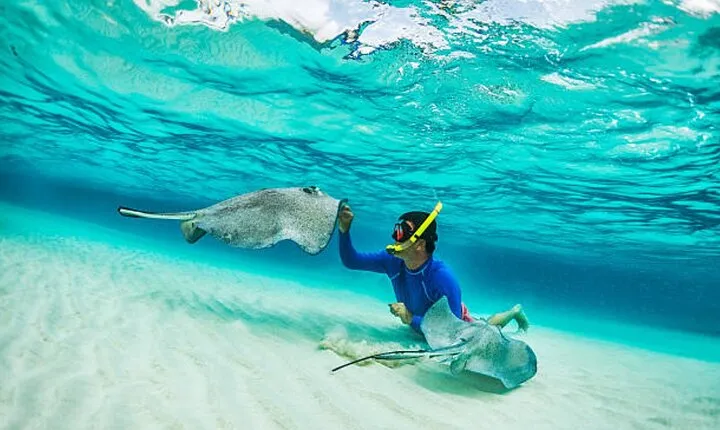 Blue Lagoon Snorkeling with Lunch and Transport