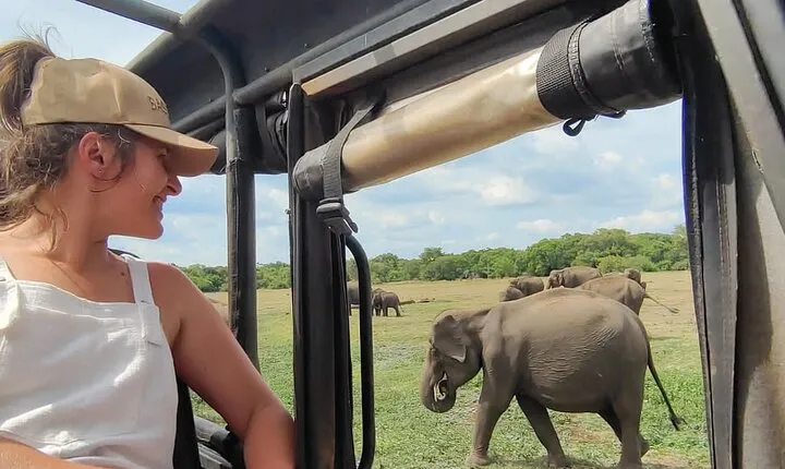 Minneriya National Park Elephant Jeep Safari Private Tour
