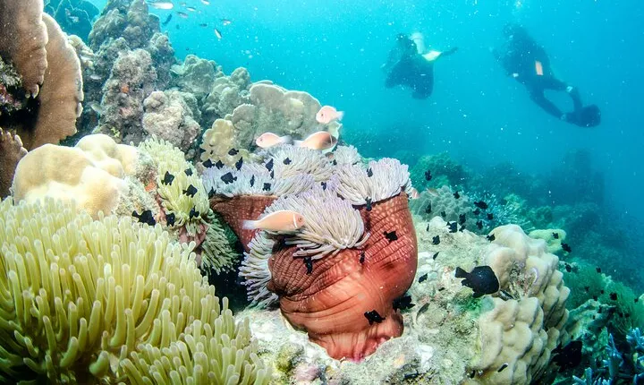Try Scuba Diving 2 Dives Bang Bao