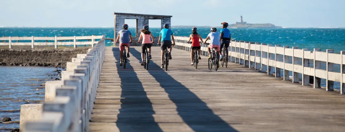 Mauritius E-biking tour in Grand Port