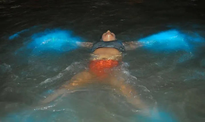 Explore Montego Bay to Luminous LagoonGlistening Water Night Tour