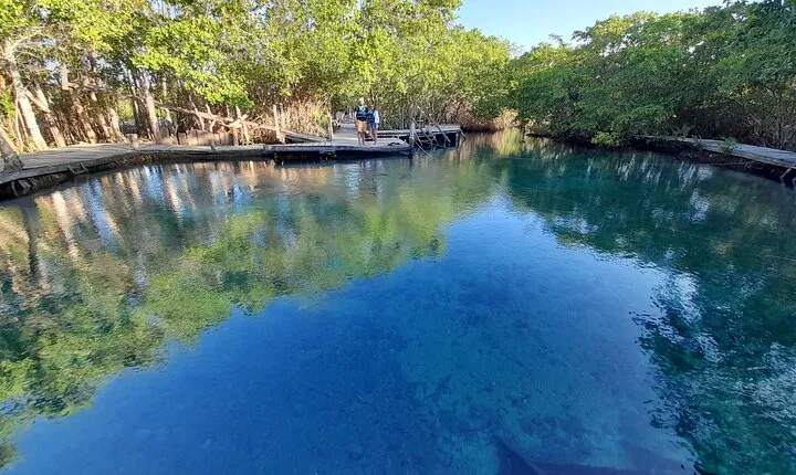 Boat Tour of Three Islands in Holbox with Transportation