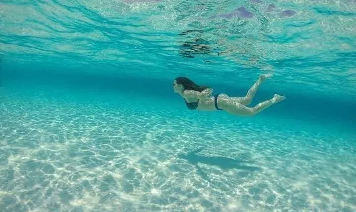 Basic Snorkel Experience at Cancun! Round Transportation Included