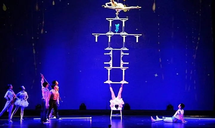 Shanghai Dinner and Acrobatics Show
