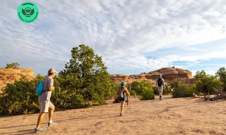 Private Tour: Best of the West 11-Day National Parks Tour with Lodging