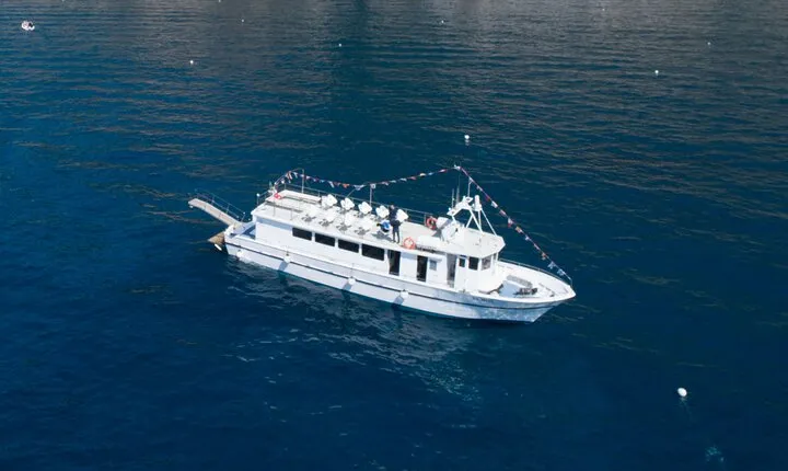 Amalfi Coast Cruise with Lemontour (Cetara and Amalfi) 