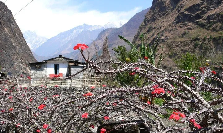 12 days Annapurna Panorama & Tatopani Trek