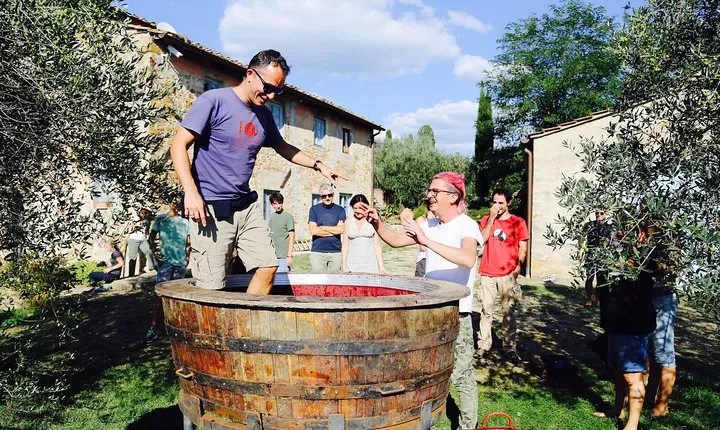 Discover Organic and Biodynamic Chianti Small Wineries