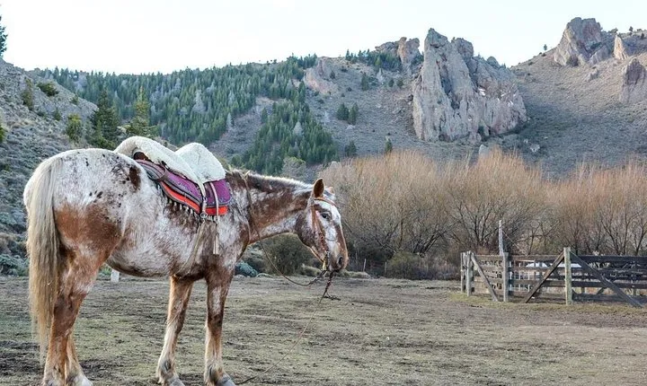 La Fragua Horseback Riding