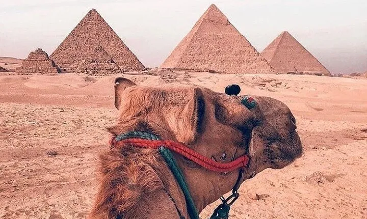 Full Day Private Tour to Giza Pyramids, Museum and Khan elKhalili
