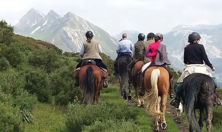 Horse Riding Madrid Natural Park
