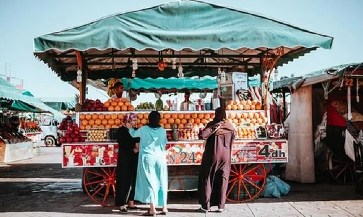Day Trip - Casablanca > Marrakesh