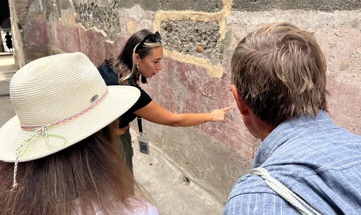 Pompeii: Guided Small Group Tour Max 6 People with Private Option