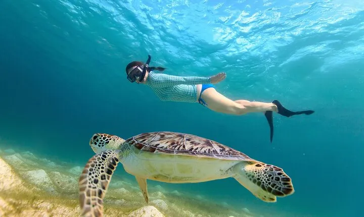 Waikiki Turtle Canyon Snorkeling Adventure