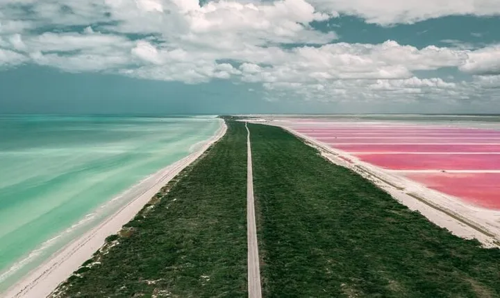 Full Day Tour to Coloradas & Rio Lagartos