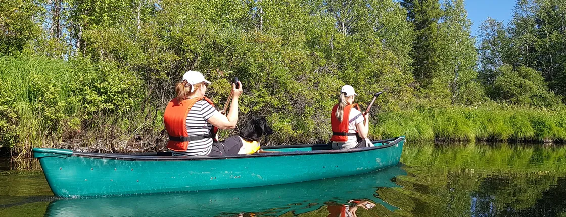 Guided canoe or kayak tour on lake Pyhäjärvi
