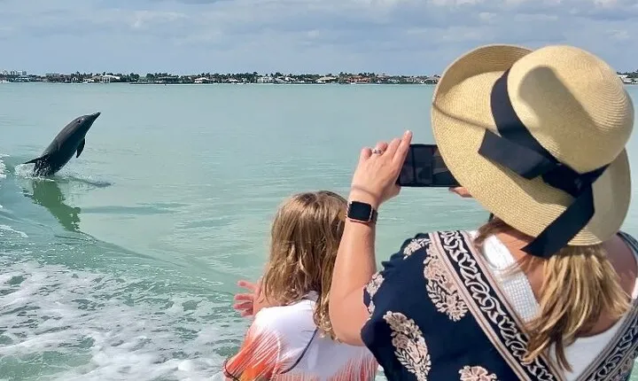 Best of Marco Island Dolphin Tour