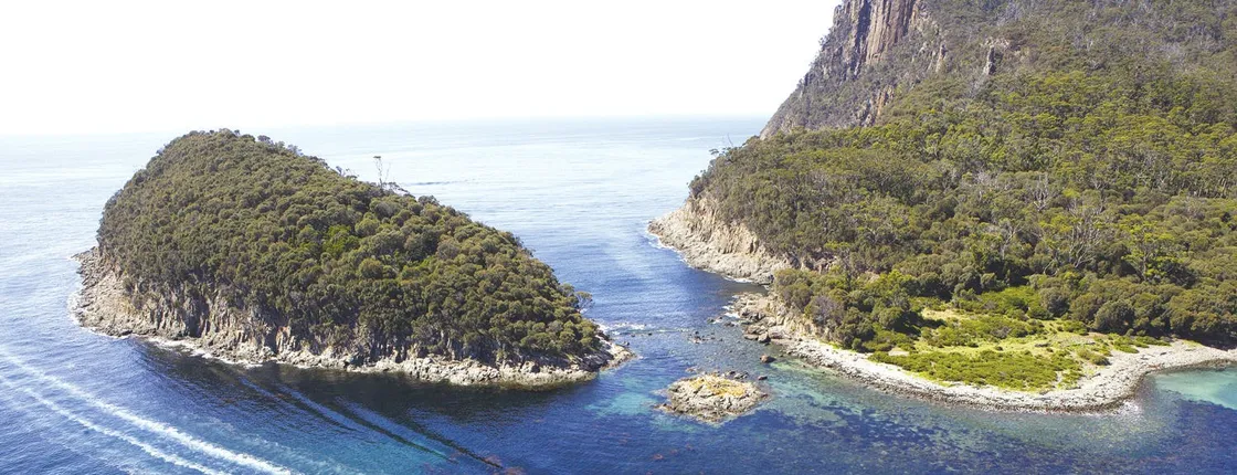 Bruny Island 3 hour wilderness cruise