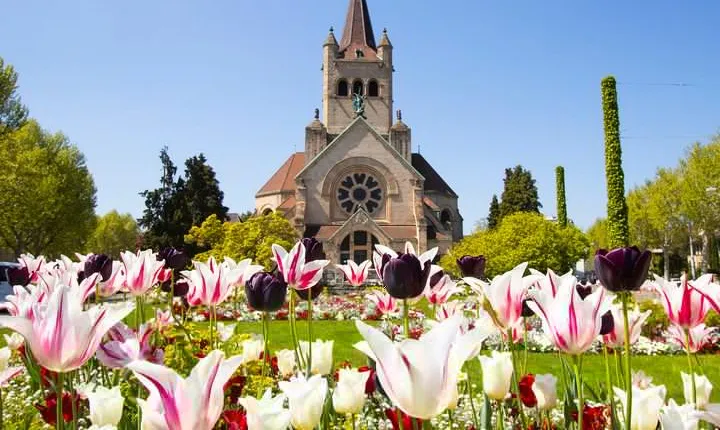 Discover Basel’s most Photogenic Spots with a Local